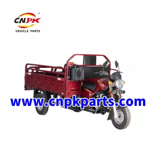 CHINESE CARGO TRICYCLE